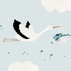 Naissance